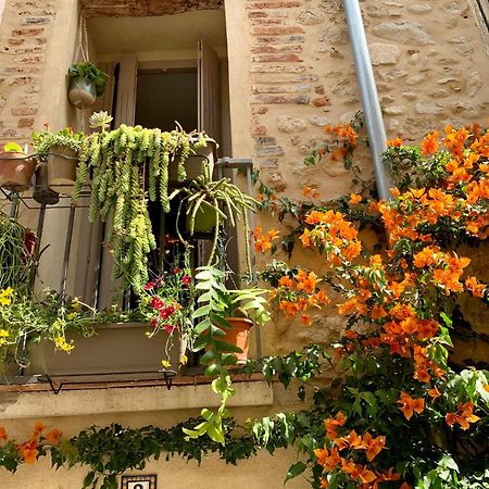 Maison Historique Rue Vermeille Argeles Sur Mer Екстериор снимка