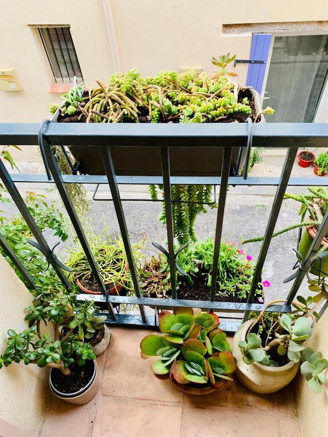 Maison Historique Rue Vermeille Argeles Sur Mer Екстериор снимка