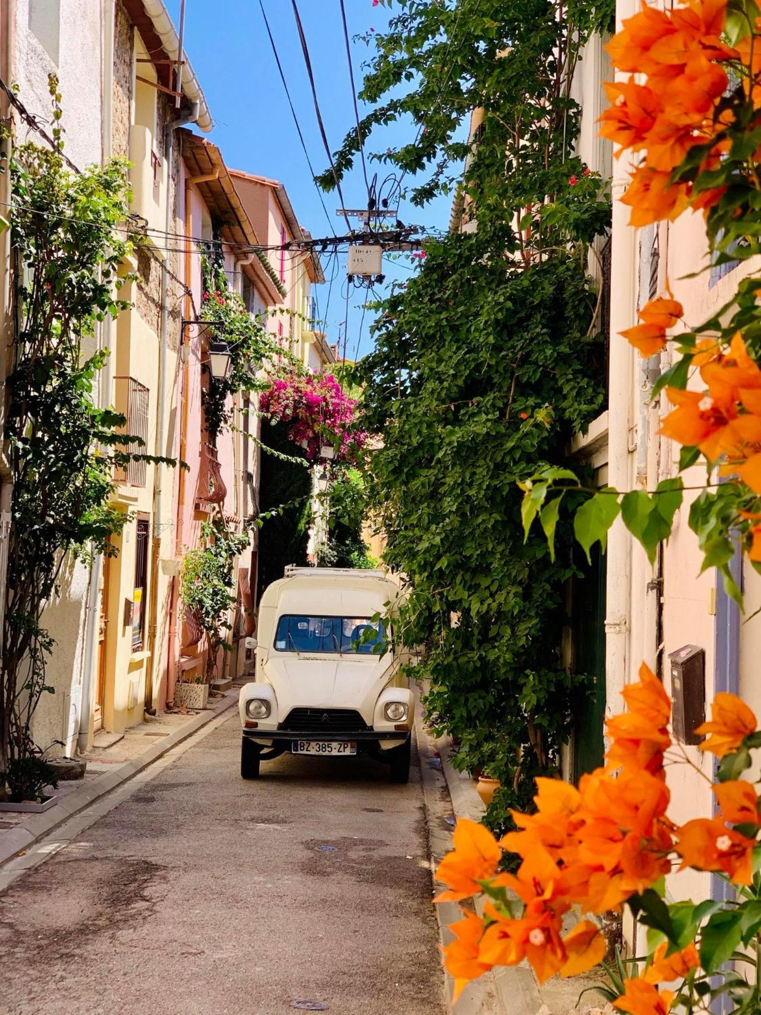 Maison Historique Rue Vermeille Argeles Sur Mer Екстериор снимка